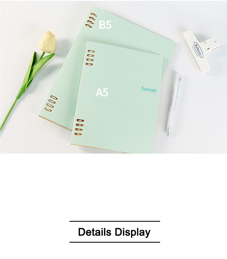A5 B5 Loose leaf Detachable Binder PP Cover Notebook 2