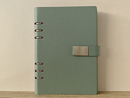 Loose Leaf 6 Hole Leather Notebook