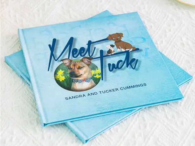 Full Color A4 Hardcover Children's Book Printing