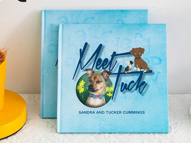 Custom Paper Hardcover Children's Book Printing