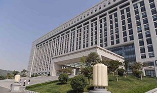 Government/Organization